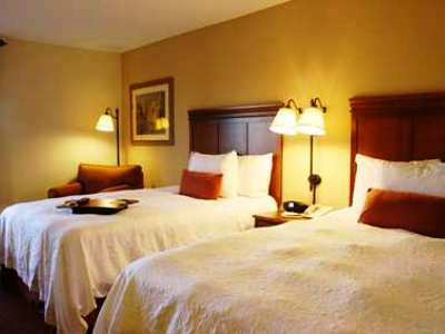 Hotel Hampton By Hilton South - I-35 & Ben White 3*